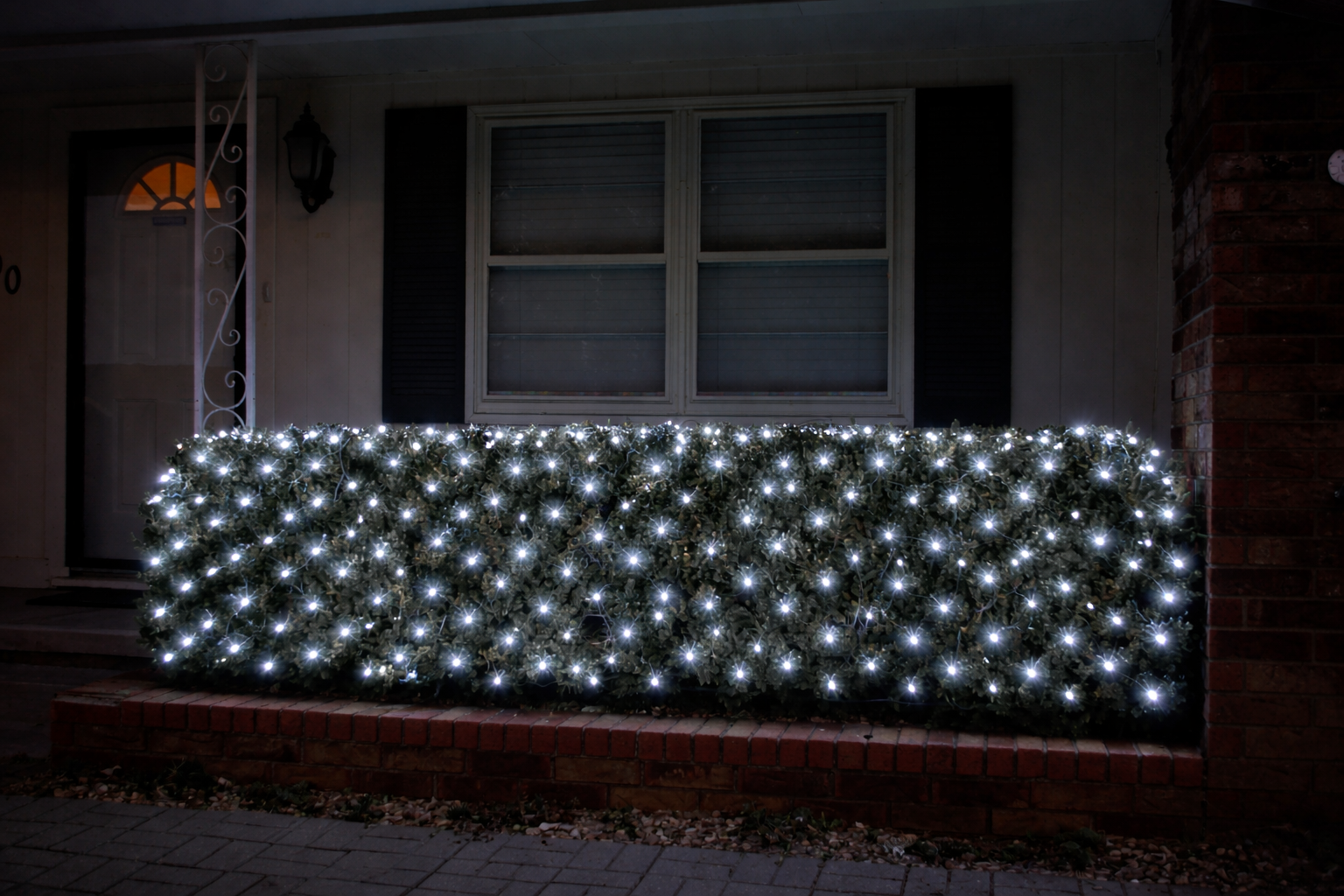 M5 LED Cool White Net Lights (3251-P)