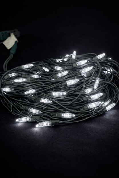 5MM LED Net Light (9055-P)