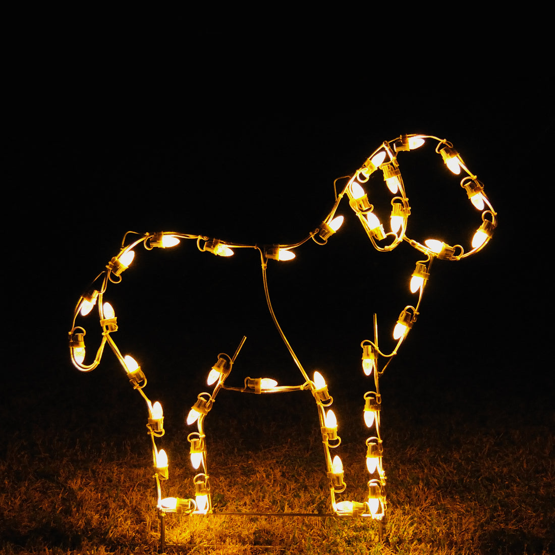 outdoor, indoor, LED, lights, quality, durable, commercial-grade, light motif, Christmas, holiday decoration, 2021, religious, nativity, lamb, sheep